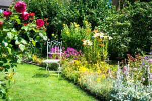 Beautiful garden with chair