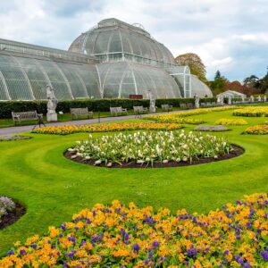 Medium-Kew-Royal-Botanic-Gardens-1