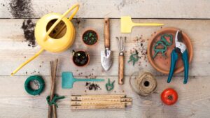 Medium-Seezon-A-guide-of-essential-garden-tools-1-1