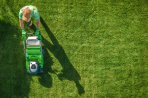 Medium-Seezon-A-guide-to-lawn-care-1-Mow-lawn