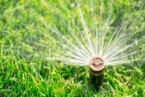 Medium-Seezon-A-guide-to-lawn-care-2-Water-lawn-1