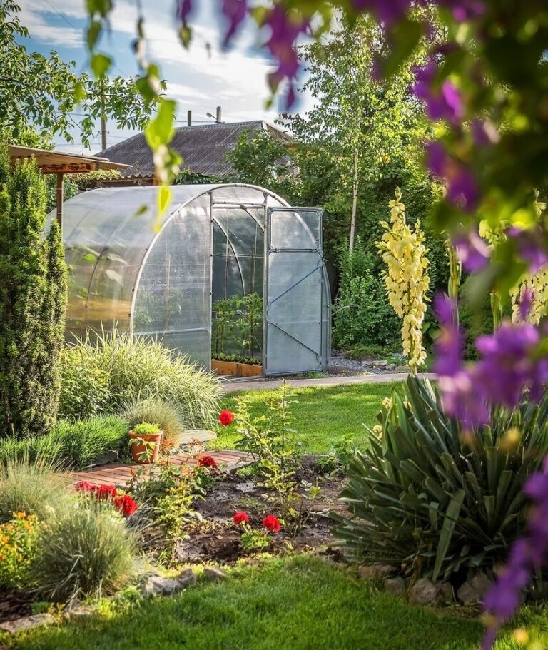 Medium-Seezon-greenhouse-in-garden-serre-
