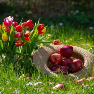 Medium-flower-and-apple-in-a-hat