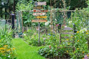 Colorful cozy little garden
