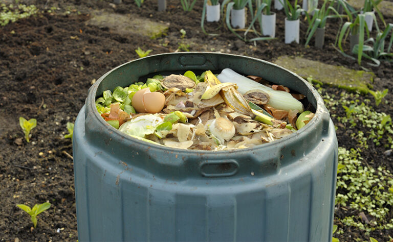 What-is-composting-1
