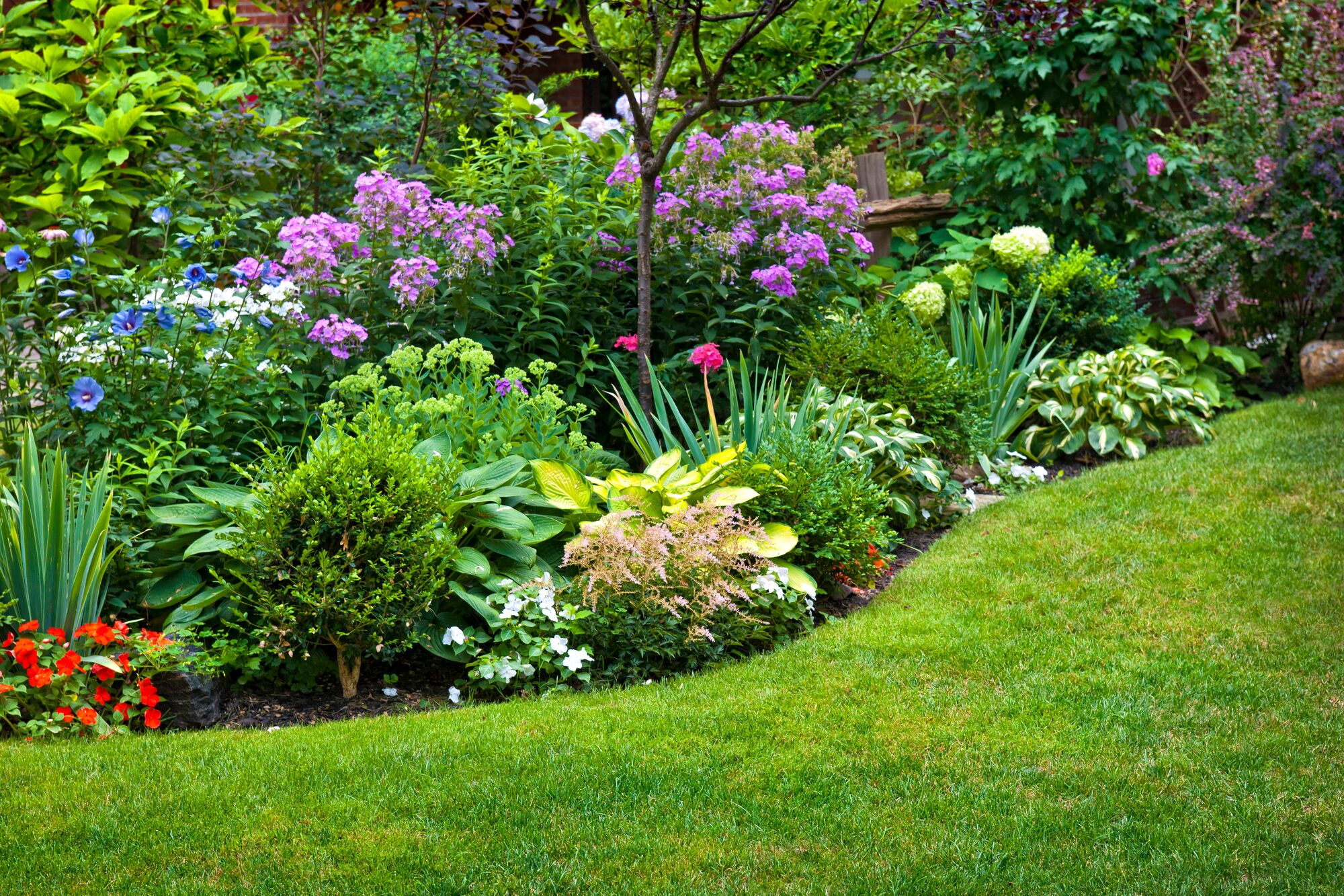 XLarge-jardin_autrement_varietes_ThinkstockPhotos-154046398