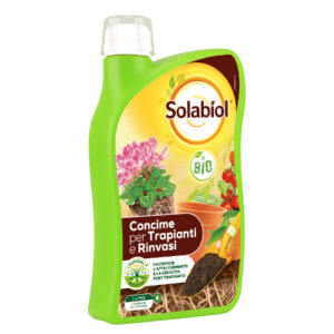 Concime Trapianti e Rinvasi