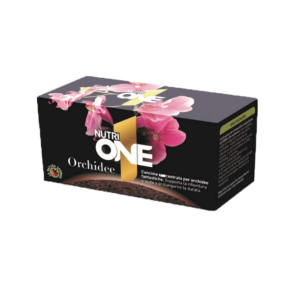 ONE Orchidee
