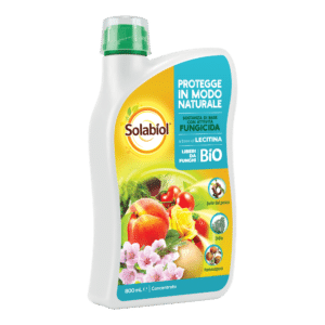 Solabiol - Lecitina di Soia Concentrato