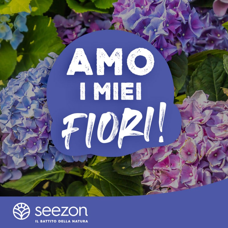contest amo i miei fiori